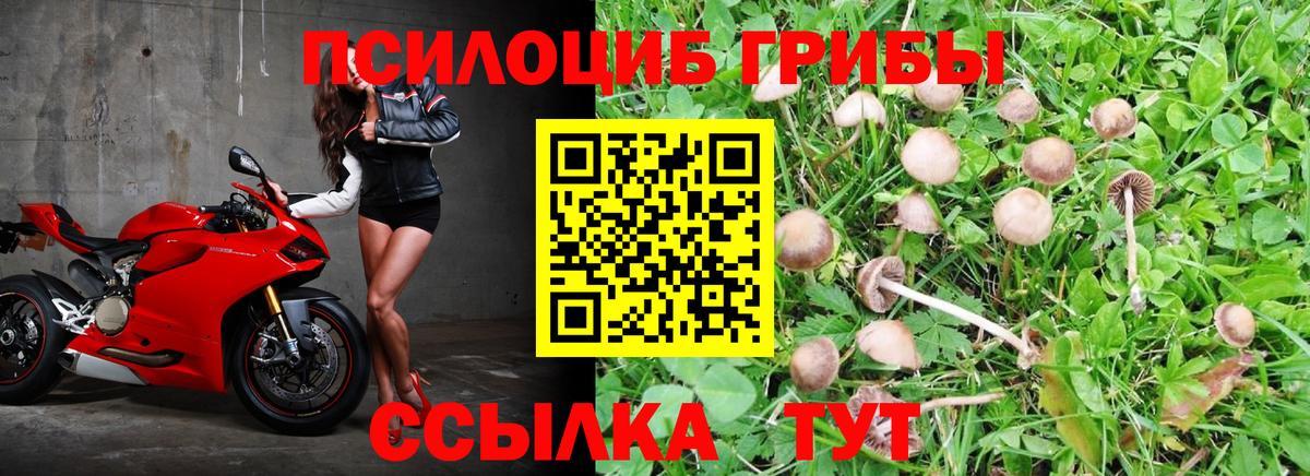 Меф МЯУ МЯУ кристаллы  Кокаин  Ивантеевка  Марихуана  Вход с VPN 