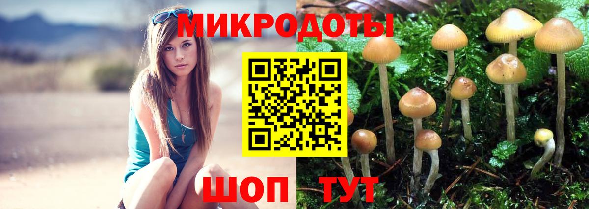 Ивантеевка  Галлюциногенные грибы Cubensis  Псилоцибиновые грибы MAGIC MUSHROOMS  Вход с VPN 