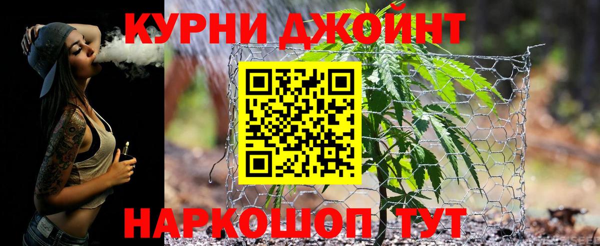 Марихуана сатива Ивантеевка